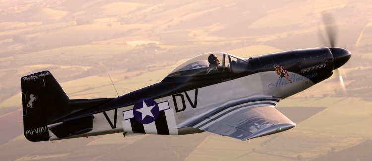 t-51d.jpg